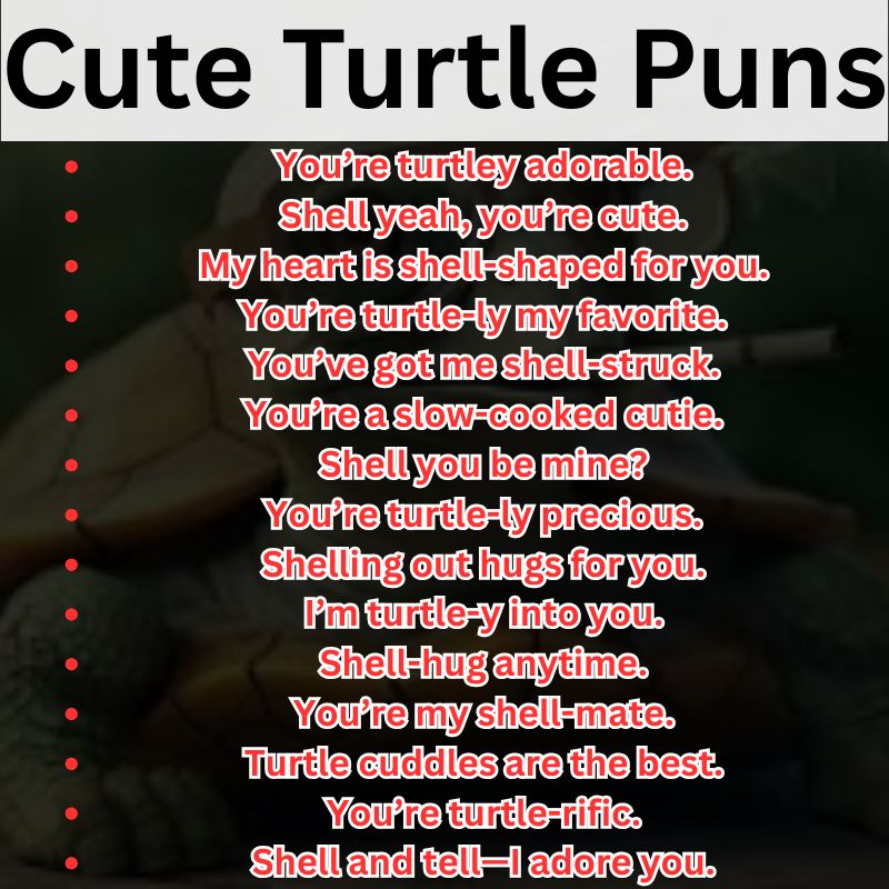 Cute Turtle Puns