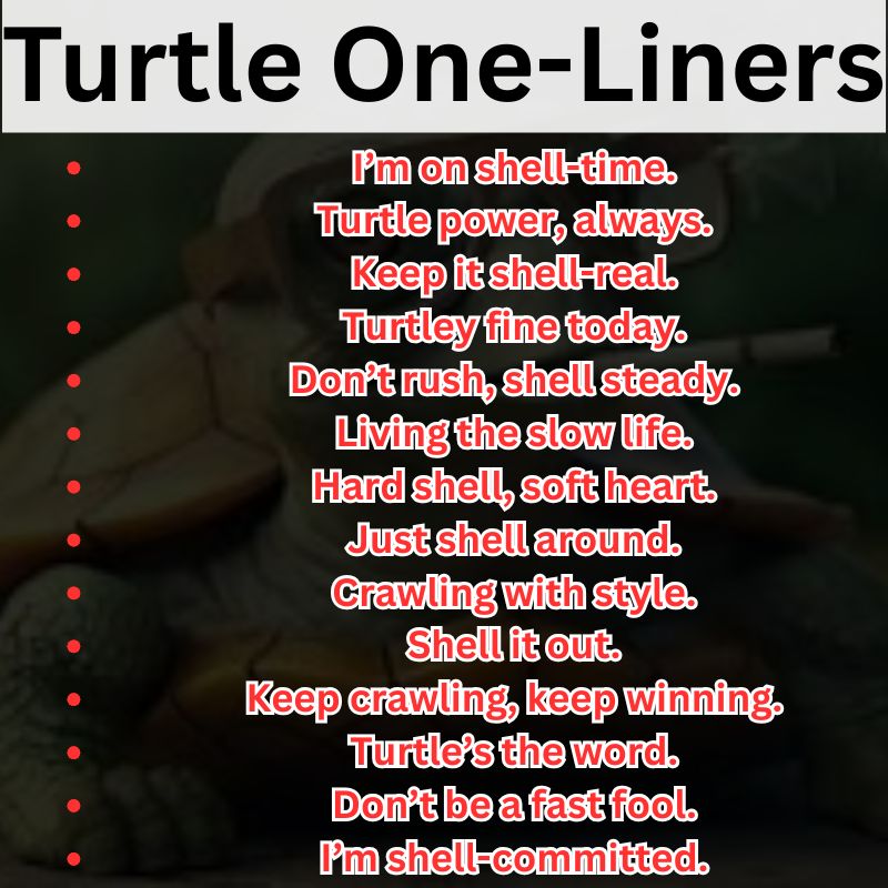 Turtle One-Liners