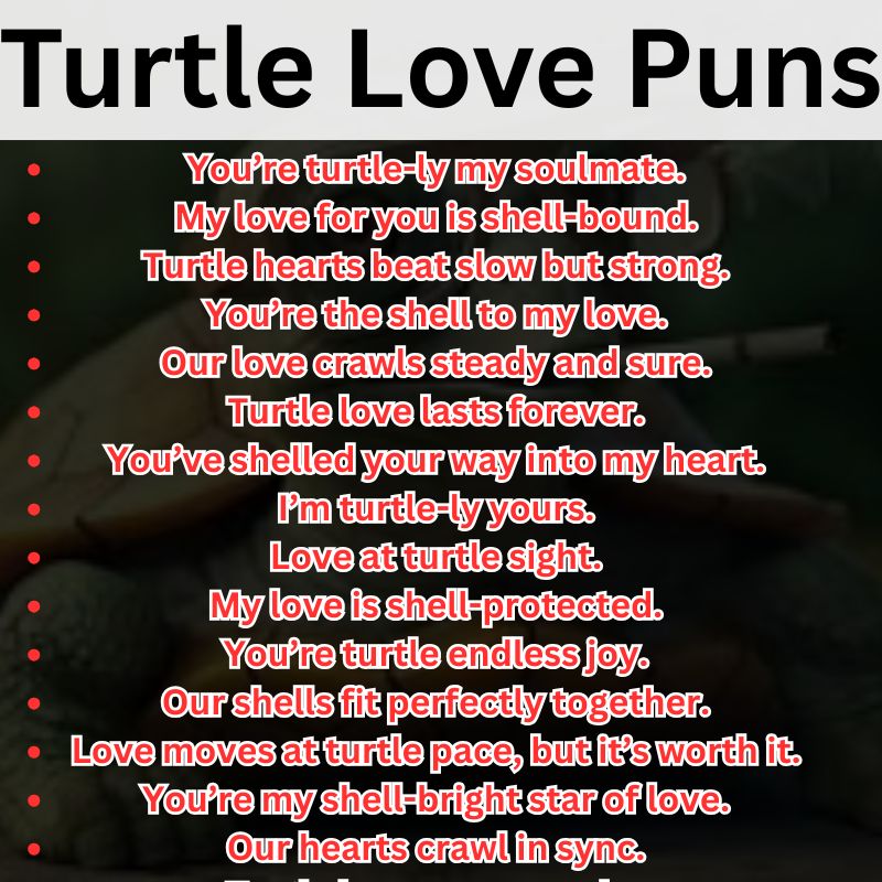 Turtle Love Puns