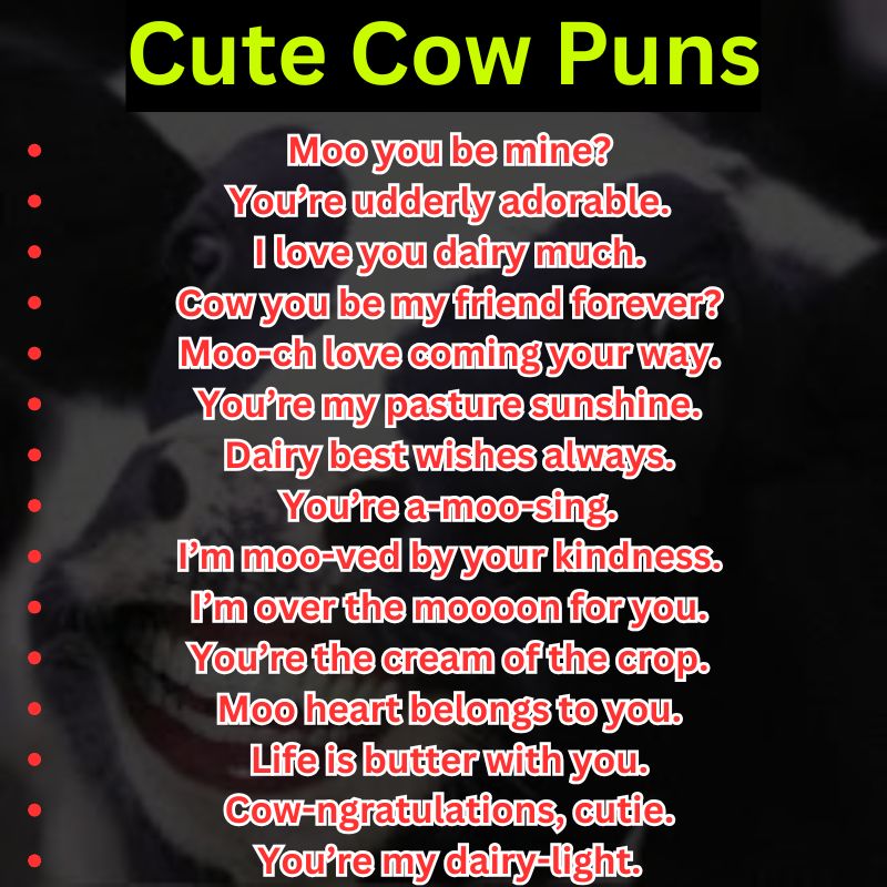 Cute Cow Puns