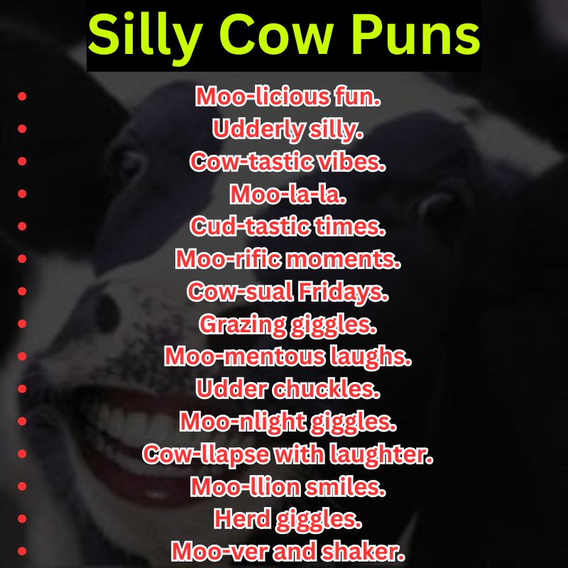 Silly Cow Puns