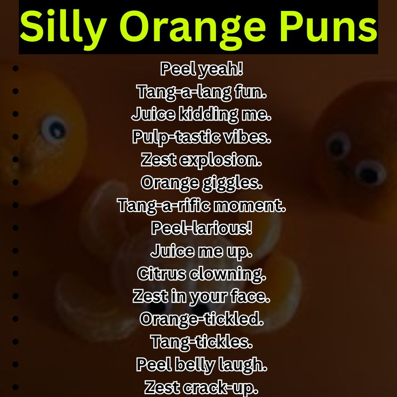 Silly Orange Puns