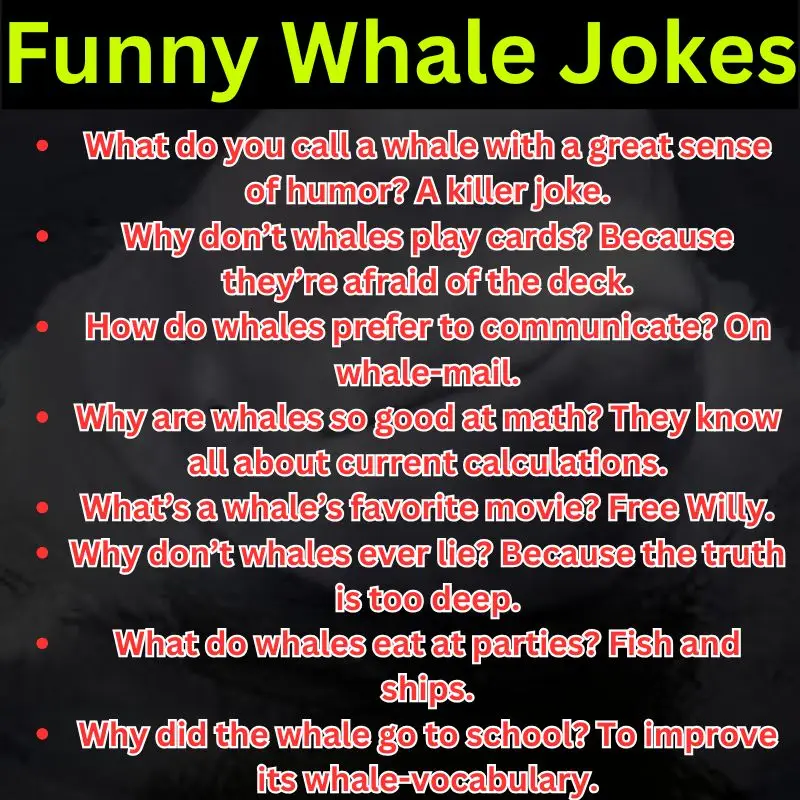 Funny Whale Jokes