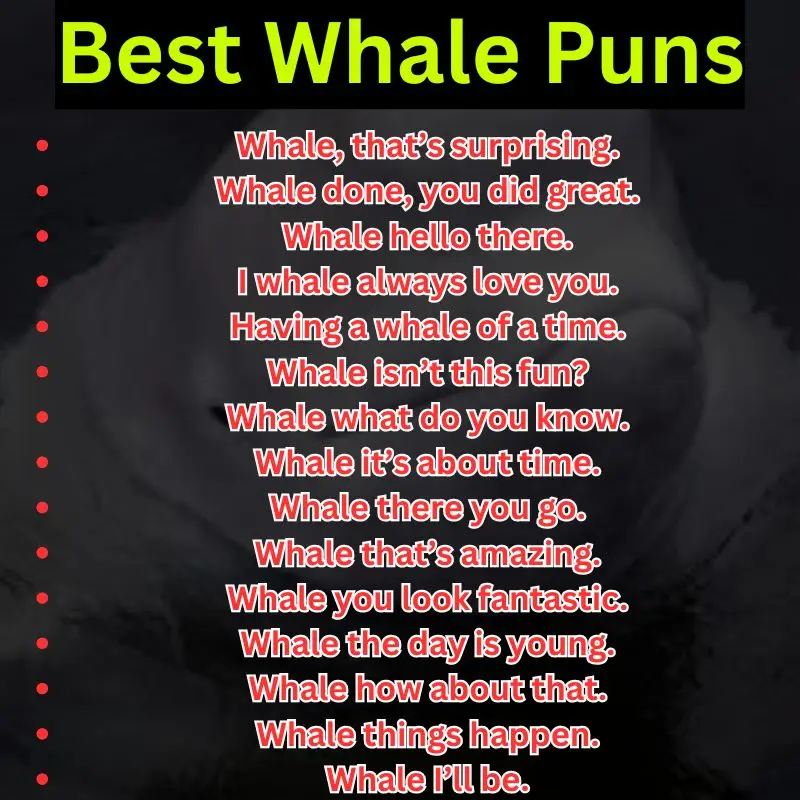 Best Whale Puns