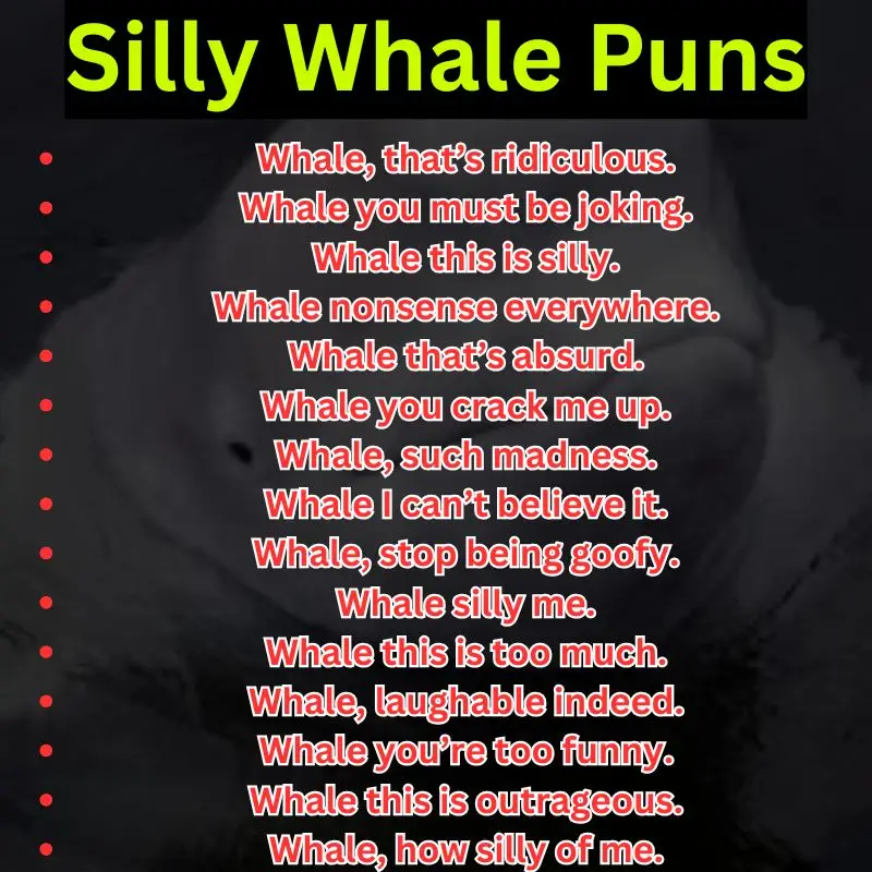 Silly Whale Puns