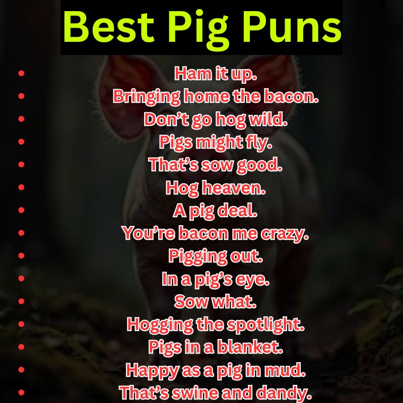 Best Pig Puns