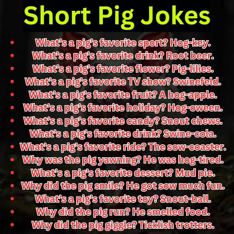 Short Pig Jokes
