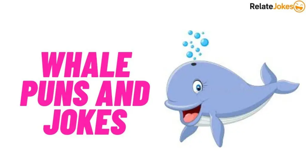 500+ Whale Puns and Jokes: Best Whale Puns for Smiles