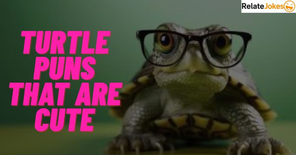 600+ Turtle Puns That Are Cute, Funny, and Clever