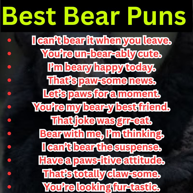 Best Bear Puns You Can Actually Share