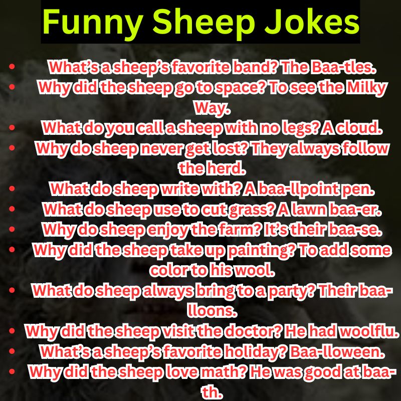 Funny Sheep Jokes