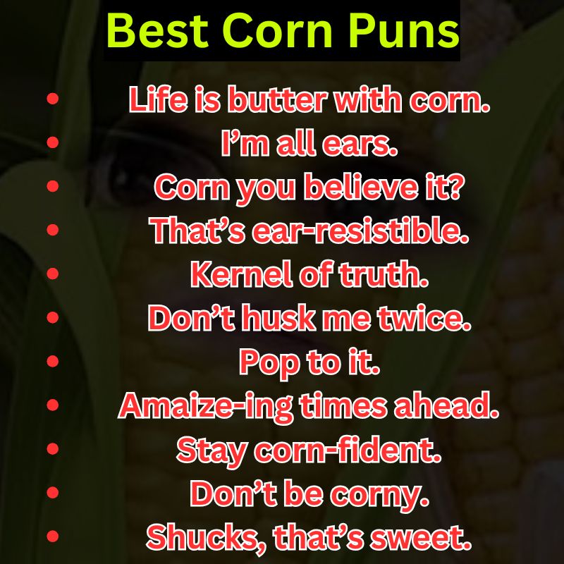 Best Corn Puns