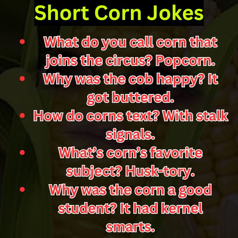 Short Corn Jokes