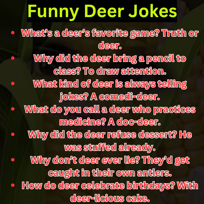 Funny Deer Jokes
