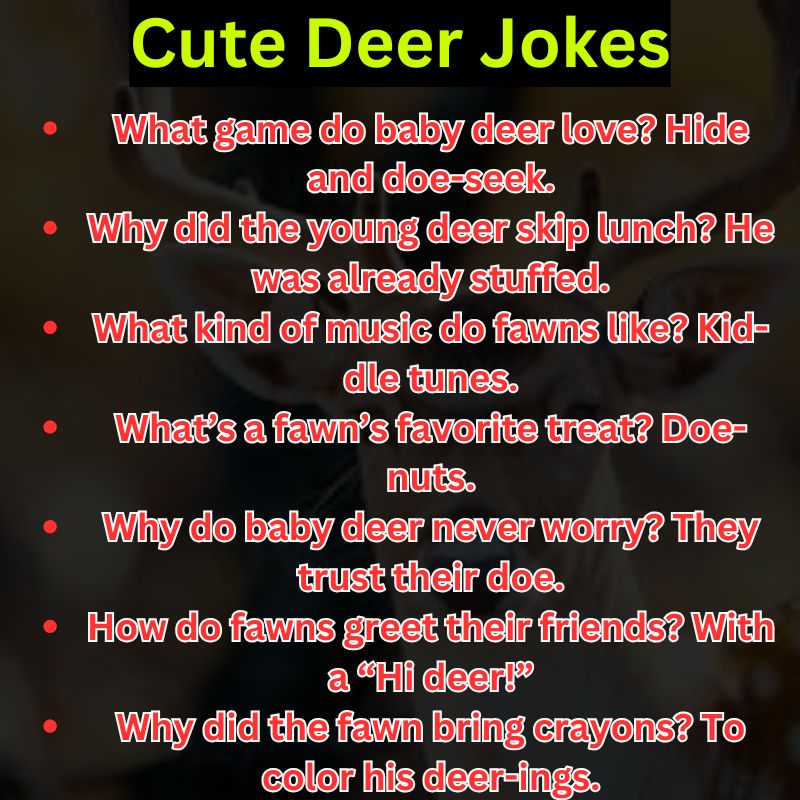Cute Deer Jokes