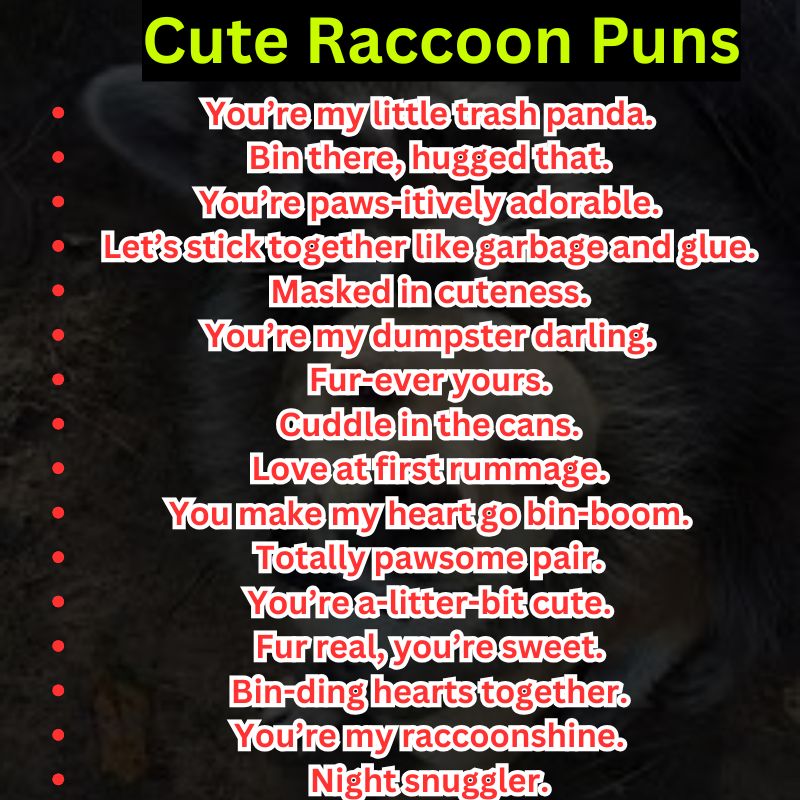 Cute Raccoon Puns