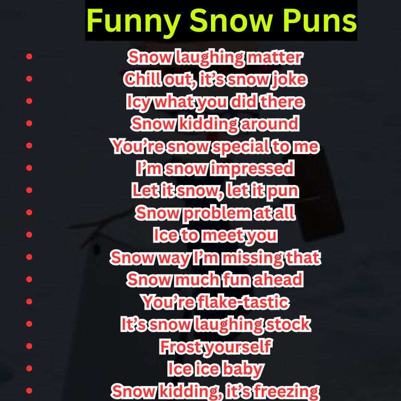 Funny Snow Puns