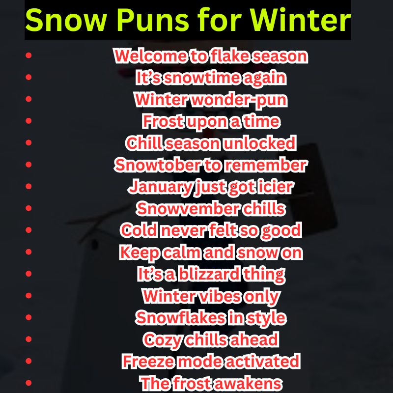 Snow Puns for Winter