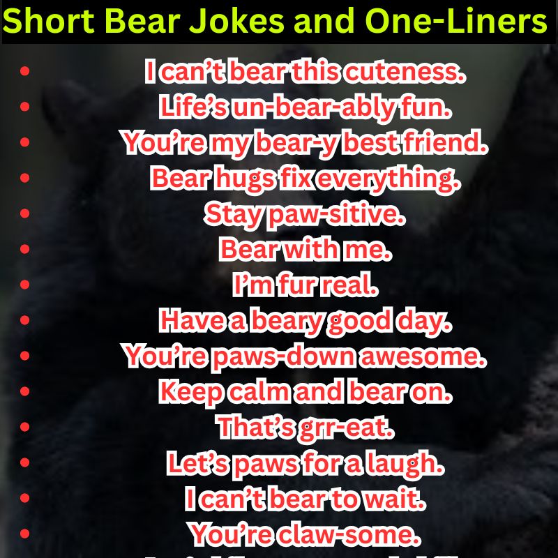 Short Bear Jokes and One-Liners You’ll Love