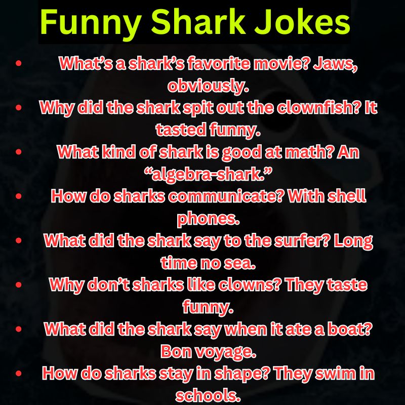 Funny Shark Jokes