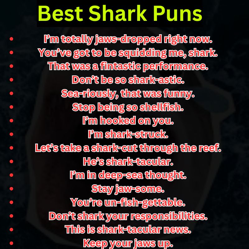 Best Shark Puns