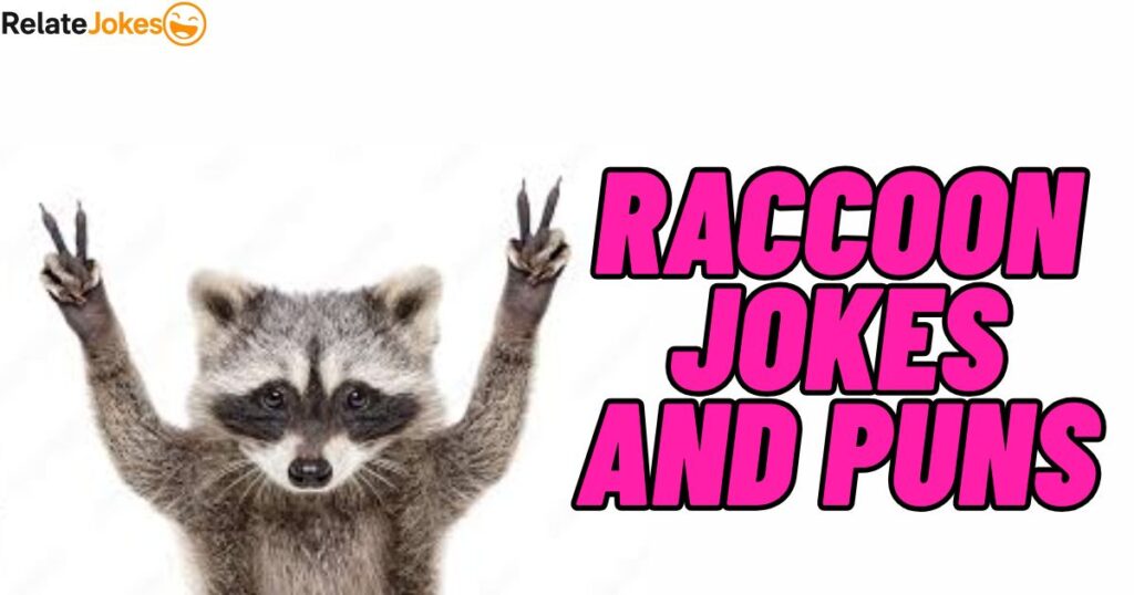 400+ Raccoon Jokes and Puns That’ll Steal Your Heart