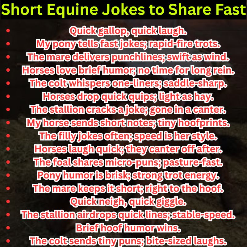 Short Equine Jokes to Share Fast