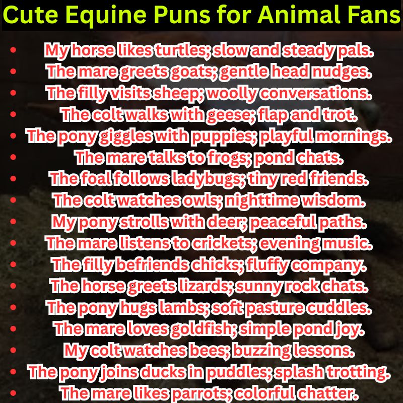 Cute Equine Puns for Animal Fans