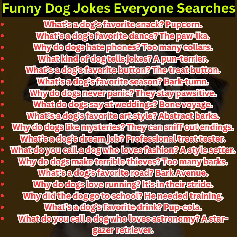 Funny Dog Jokes Everyone Searches