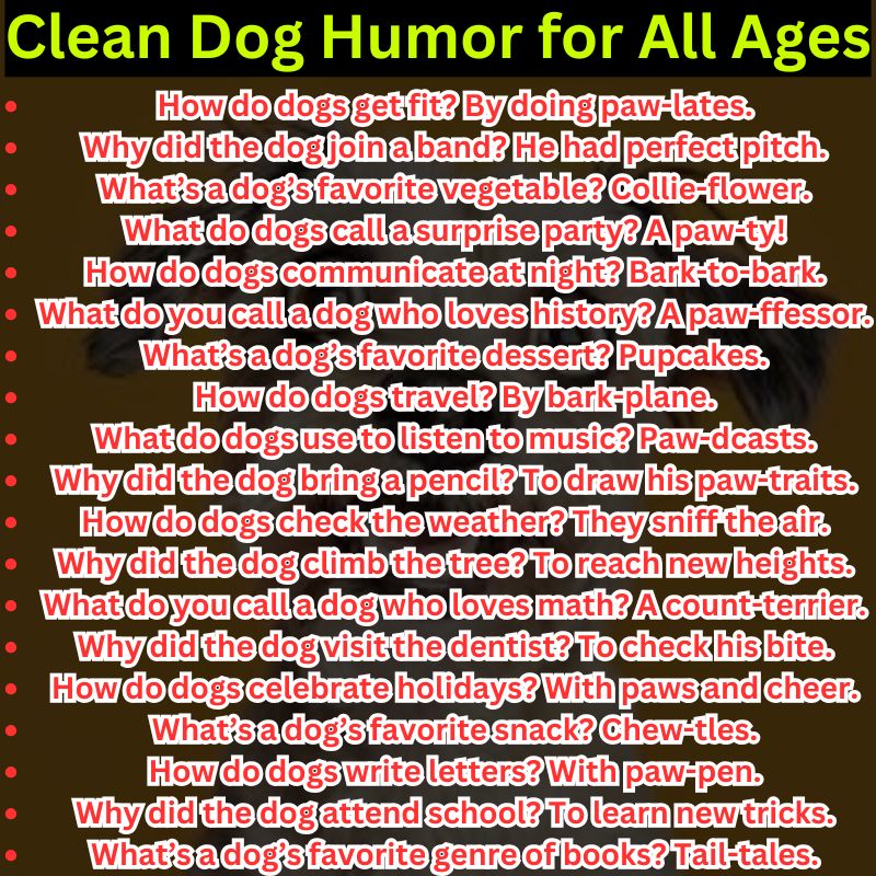 Clean Dog Humor for All Ages