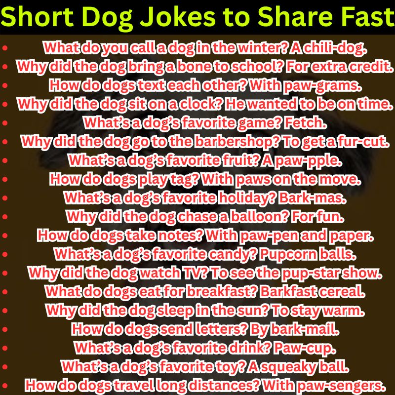 Short Dog Jokes to Share Fast