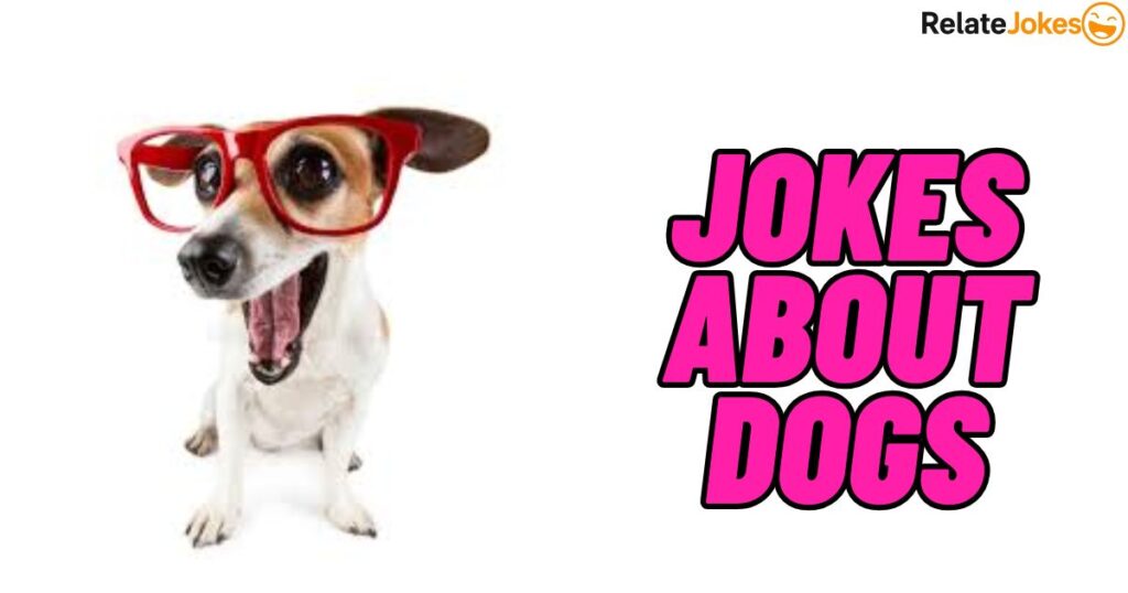 550+ Jokes About Dogs: Funniest Laughs for Pet Lovers 550+ Jokes About Dogs: Funniest Laughs for Pet Lovers