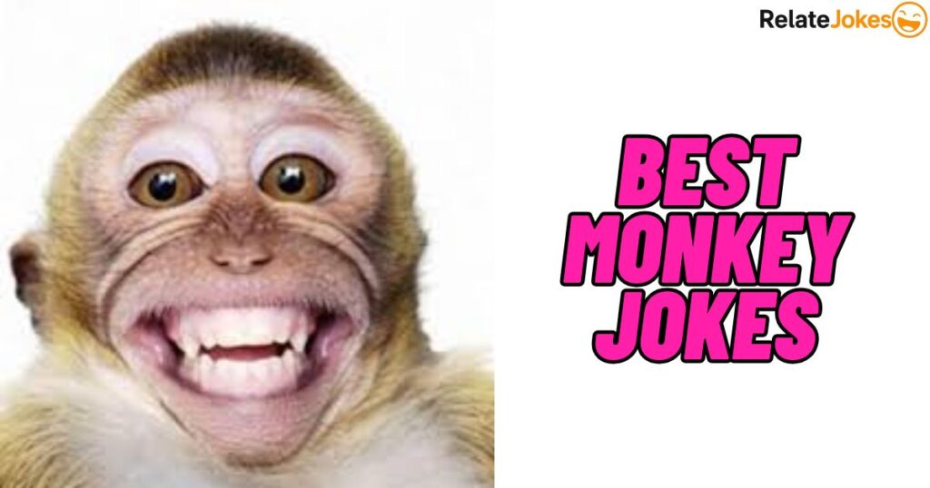 550+ Best Monkey Jokes Perfect for Any Fun Moment
