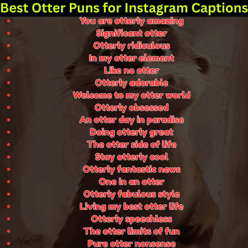 Best Otter Puns for Instagram Captions