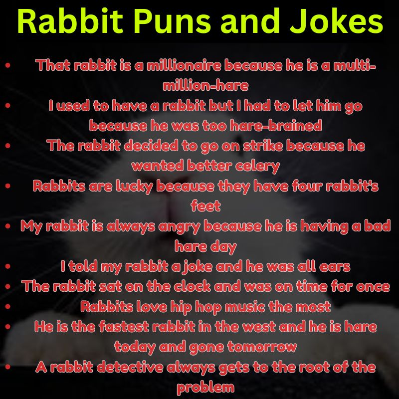 Rabbit Puns and Jokes