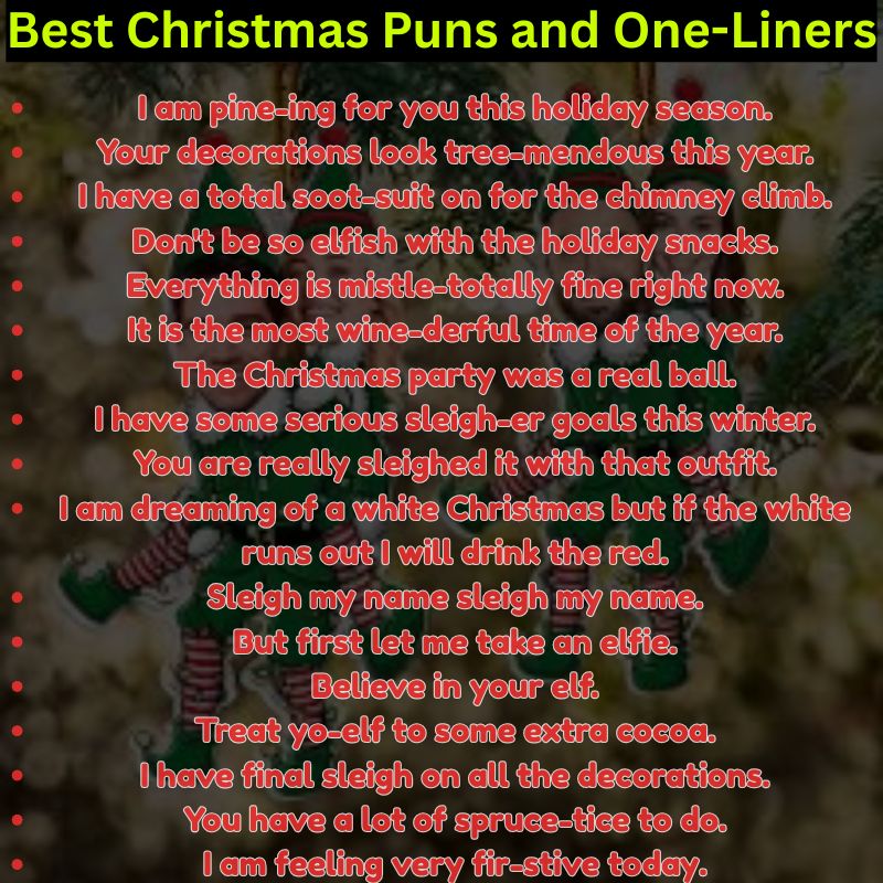 Best Christmas Puns and One-Liners