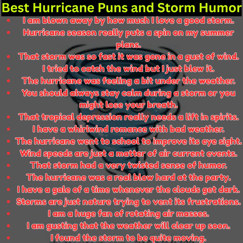 Best Hurricane Puns and Storm Humor