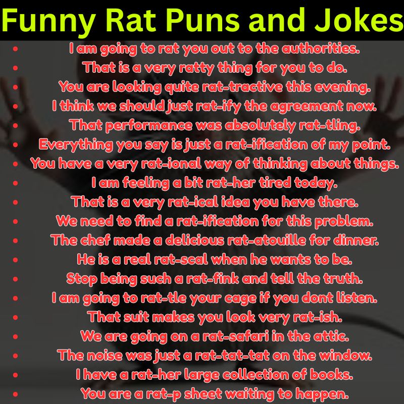 Funny Rat Puns and Jokes