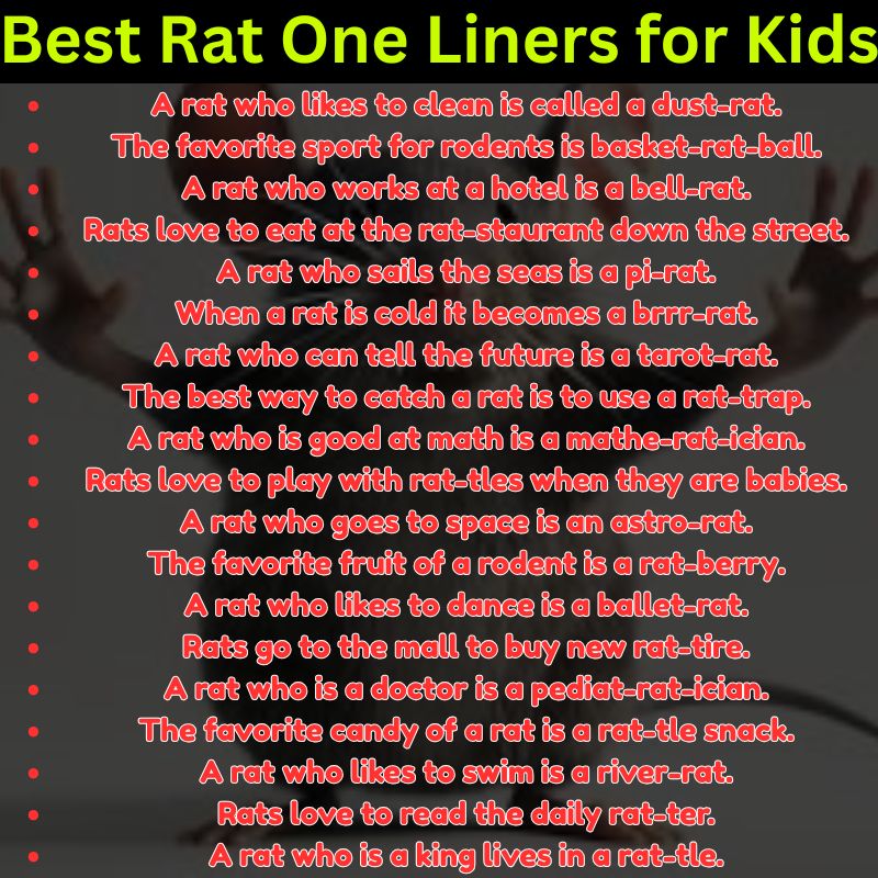Best Rat One Liners for Kids