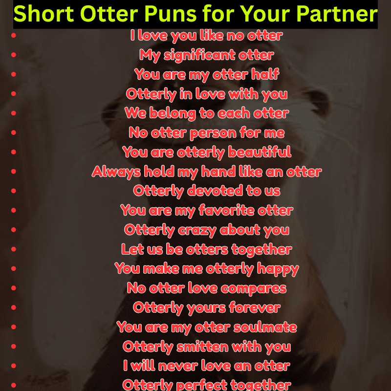 Short Otter Puns for Your Partner