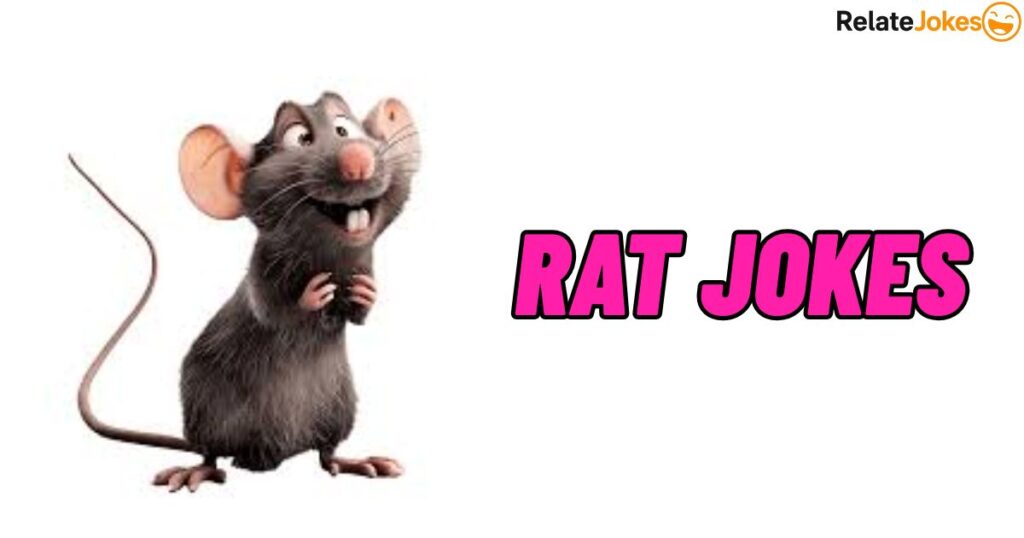 500+ Rat Jokes Short and Funny Riddles for Pet Lovers