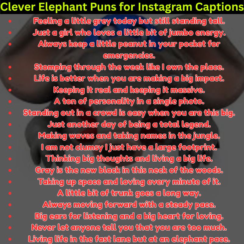 Clever Elephant Puns for Instagram Captions