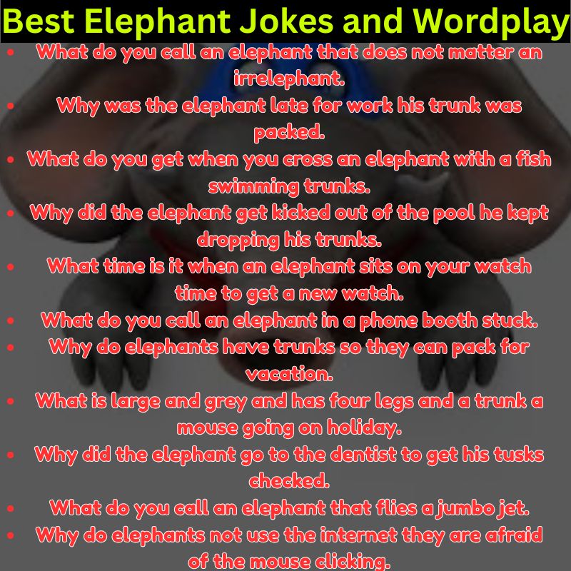 Best Elephant Jokes and Wordplay