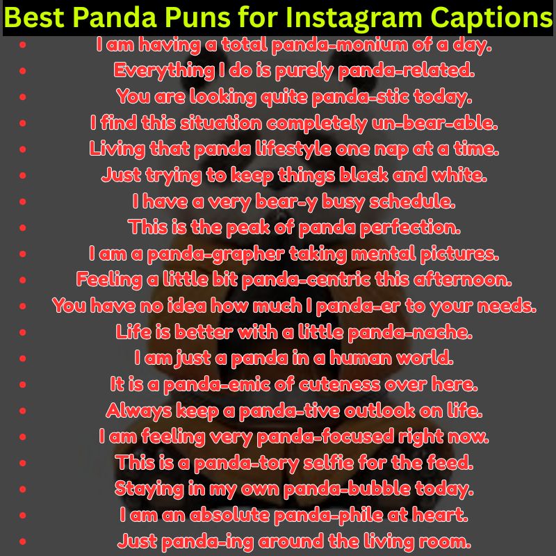 Best Panda Puns for Instagram Captions