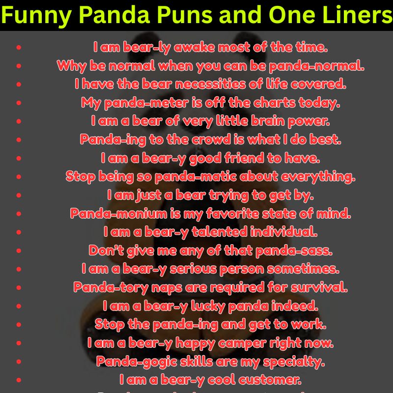 Funny Panda Puns and One Liners