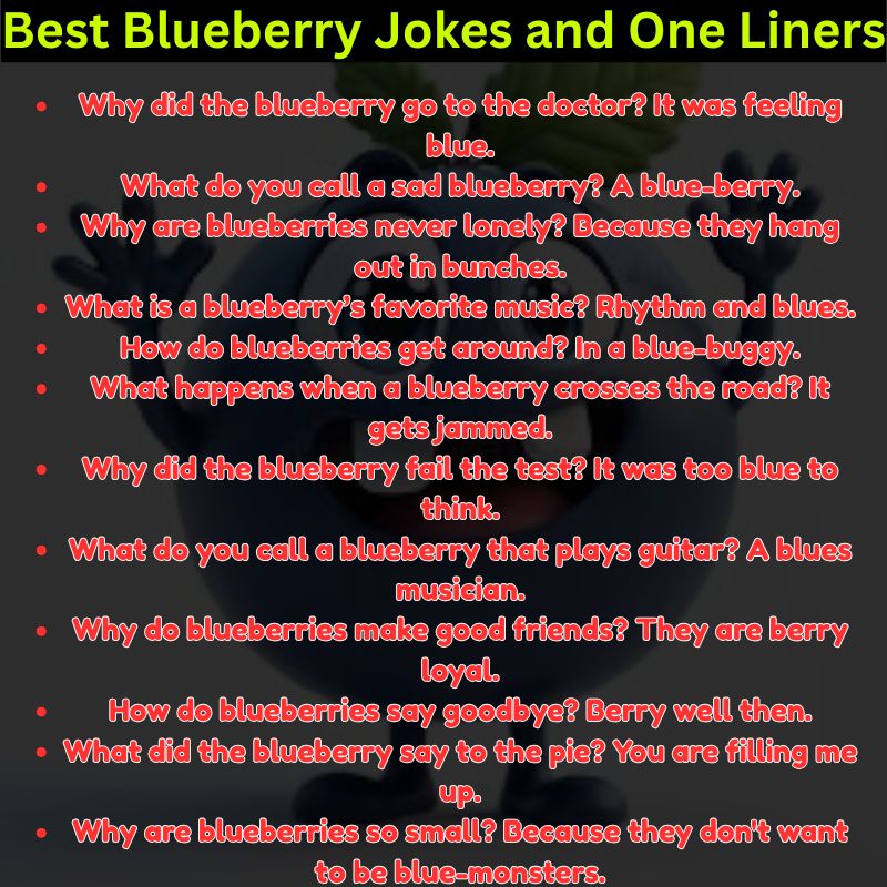 Best Blueberry Jokes and One Liners