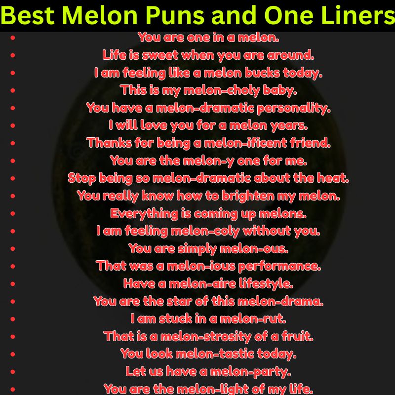 Best Melon Puns and One Liners