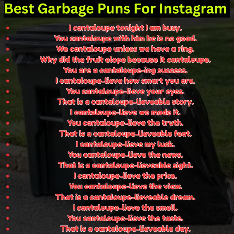 Best Garbage Puns For Instagram Captions