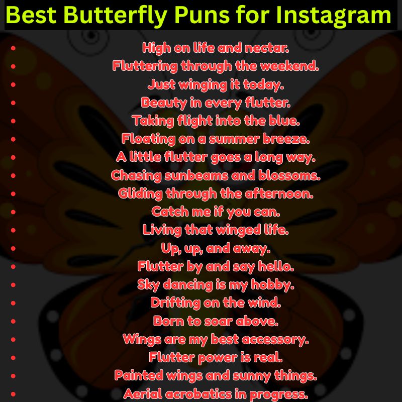 Best Butterfly Puns for Instagram Captions