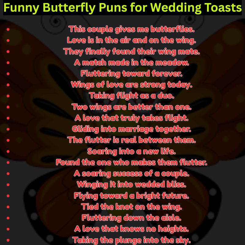 Funny Butterfly Puns for Wedding Toasts